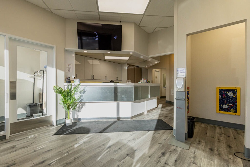 Bright and Welcoming Reception | Forest Lane Dental Clinic | Family & General Dentists | SE Calgary