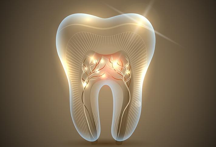 Root Canal Therapy | Forest Lane Dental Clinic | Family & General Dentists | SE Calgary